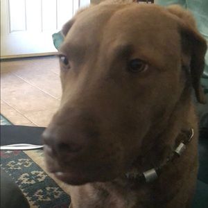 Meet your Posher, Eric